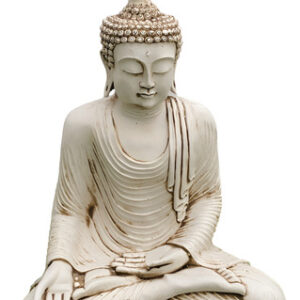 D 635456 MLA82911776620 032025 O