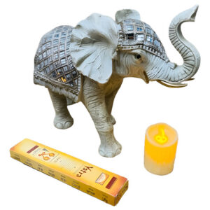 D 983488 MLA98278549299 112025 O