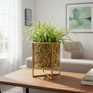 D 786090 MLA101157861057 122025 O