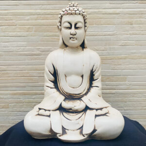 D 910291 MLA94569866472 102025 O